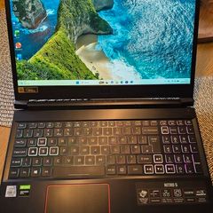 Acer Nitro 5