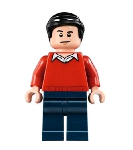 Lego DICK GRAYSON Minifigure Lego Batman Lego Minifigure