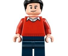Lego DICK GRAYSON Minifigure Lego Batman Lego Minifigure
