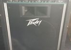 Peavey KB300 full range amp