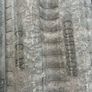 Roof tiles for sale Image 4