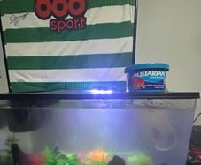fish tank