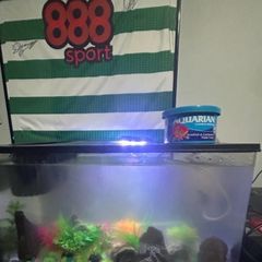 fish tank