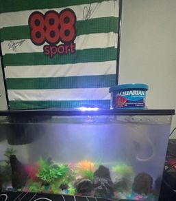 fish tank