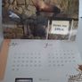 Vintage Arnotts calender 1993 Image 8