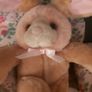 Ornamental Teddy Image 4