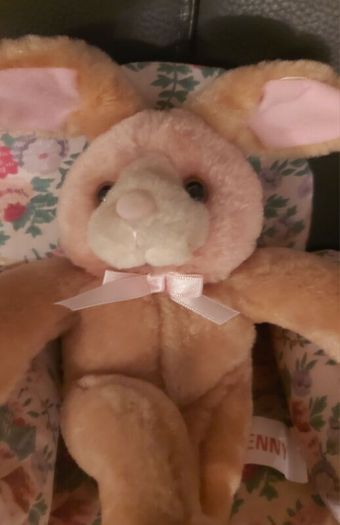 Ornamental Teddy