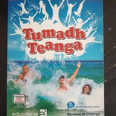 Teanga Irish Leaving cert book