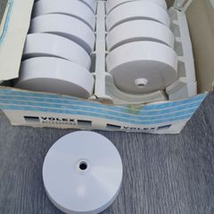10 White Ceiling Roses