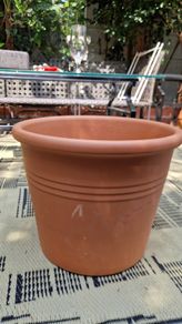 Terracotta pot