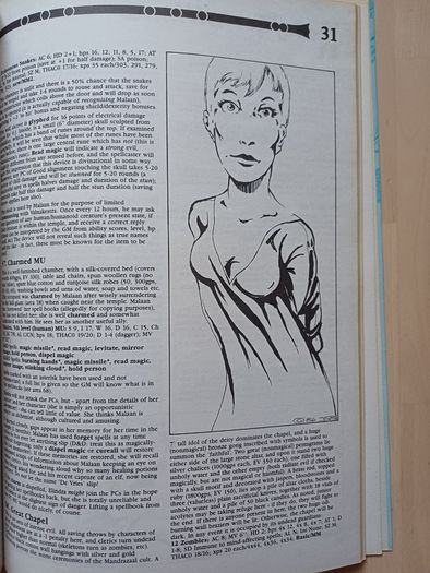 Dungeons & Dragons D&D The Rod of Serraillian - Vintage Fantasy RPG Scenario Module 1987