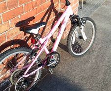 20" Mountain Bike