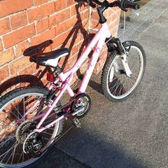 20" Mountain Bike