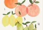 Citrus Print