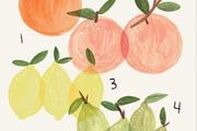 Citrus Print