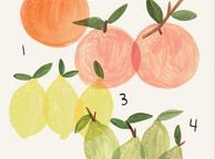 main image for ad Citrus Print