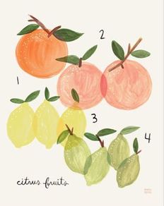 Citrus Print