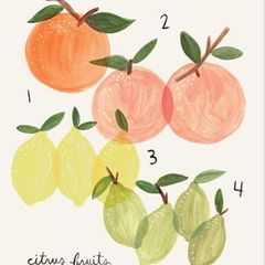 Citrus Print
