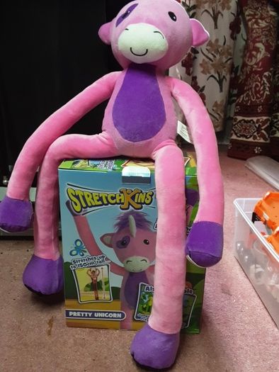 Toy
