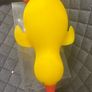 squishy duck Image 3