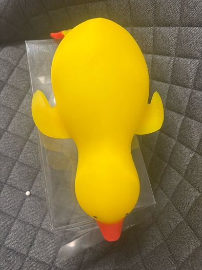 squishy duck