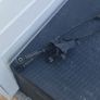 VW Polo Gear Shifter / Cable Image 3