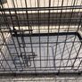 dog crate Image 3