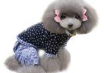 NEW cute dog/cat tops