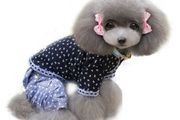 NEW cute dog/cat tops