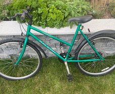 ladies Raleigh Mistral bicycle in excellent condition .Tyres excellent,needs tubes .