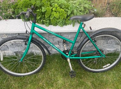 ladies Raleigh Mistral bicycle in excellent condition .Tyres excellent,needs tubes .