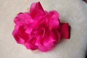 Baby Hairband
