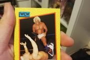 WCW Ric Flair Card - WWE
