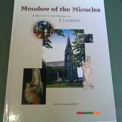 Meadow of the miracles A history of the Diocese of Clonfert  Galway Offaly Roscommon