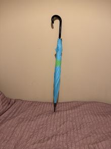 umbrella