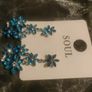 Earrings Image 2