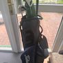 Titleist Golf Bag Image 3