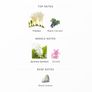 LM Parfums (Laurent Mazzone) Radikal Jasmine Discovery Samples Image 5