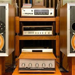 Rare Vintage Leak Sandwich 2030 Speakers stunning quality Speakers