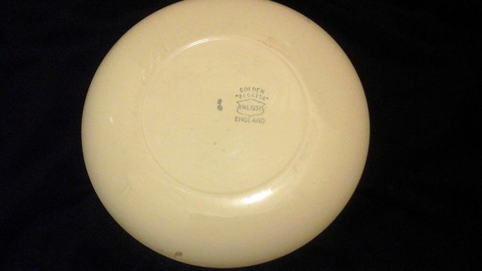 Vintage Pallisy plate,Golden Regatta pattern.