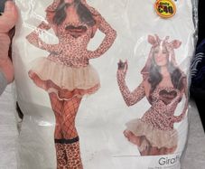 costume lady