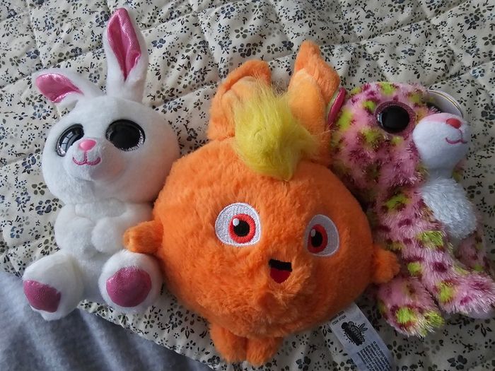Teddies and dolls