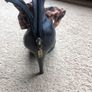 guess high heels Image 5