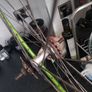 fixie rear wheel Image 2