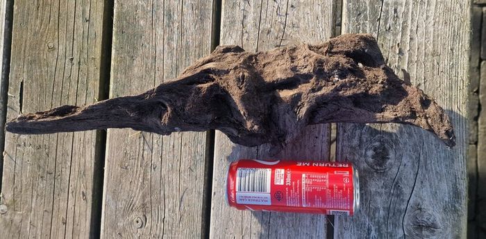 bog oak