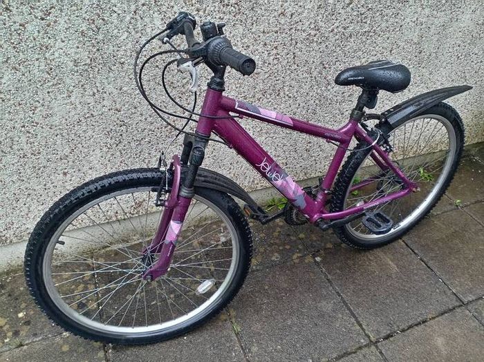 Women Bicycle  -Jewel Mountain Bike Purple Size L