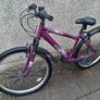 Women Bicycle  -Jewel Mountain Bike Purple Size L Image 2