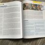 Expression(Guide to leaving cert English paper 1) Image 5