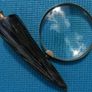 Vintage Magnifying Glass Hand Lens with a Curled Horn Handle Image 3