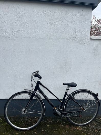 Giant Escape Bike